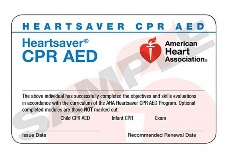 Heartsaver CPR AED HeartCode Gold - Online AHA Heartsaver with Skills Session Included
